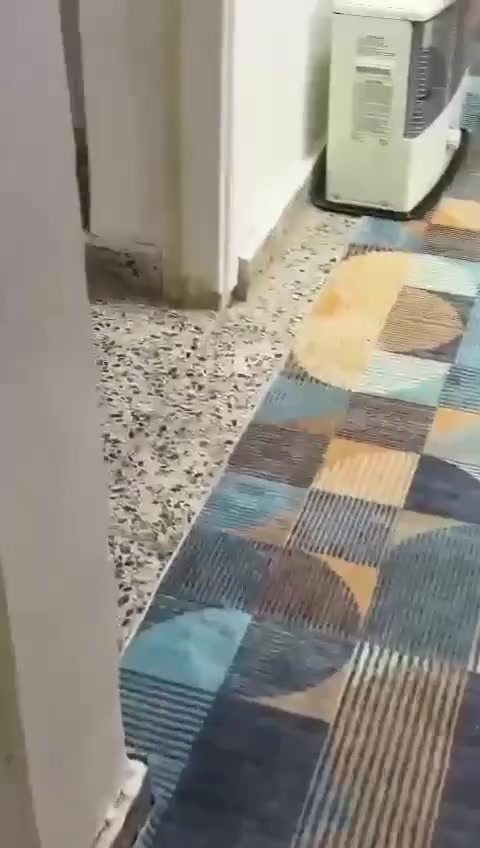 السلام عليكم غرفه تركي نظيفه العنوان الرمادي التاميم ركن المدينه جامع معاذ ابن جبل ***********
