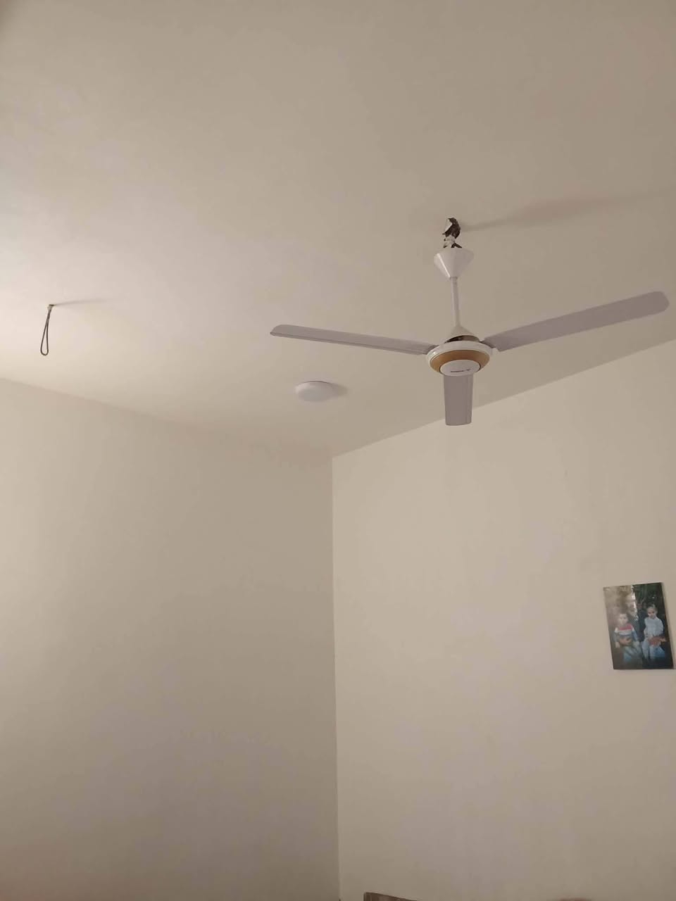 بيت للبيع 100 متر عرصات حجي هندي حولي الخصيمه مشمول بتطويب معامله كامله يم البلدية يحتوي على غرفه وصاله وصحيات ومطبخ بارد وحار واستقبال تبليط بلباب خدمات كامله سند 25 واجهيته 5 والعرض 20 بتبليط وشارع العام خلف مولده نصير مباشرة كل الخدمات متوفره سكف عكاده رباط؟ كونكريت اخوان الله شاهد بيع مستعجل كلش اريده 38 مو تجون بس تعاملون..! 
فقط للشراي يتفضل خاص وبيكم خير وتدللون
