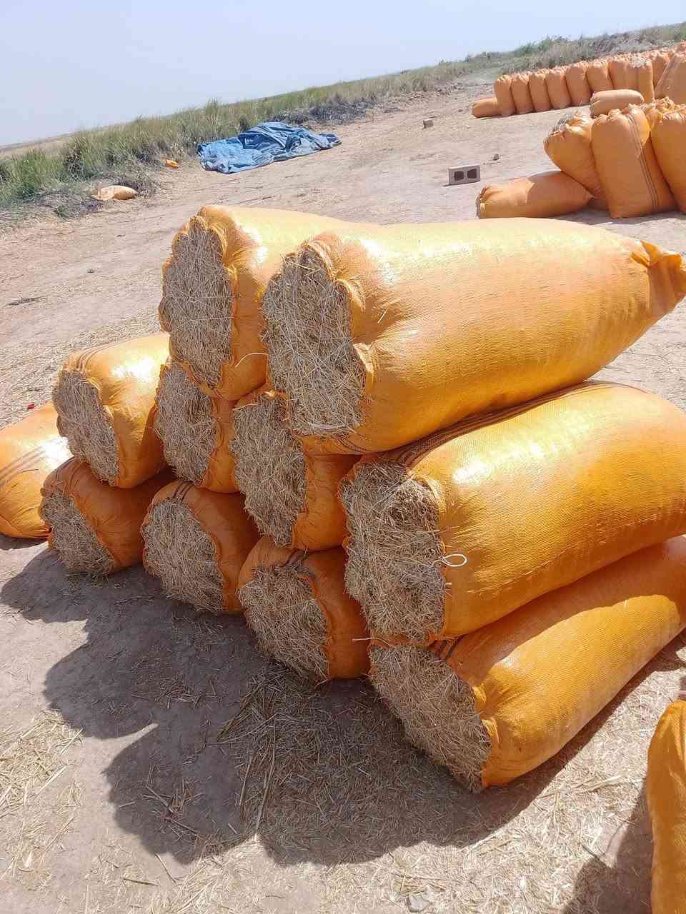 تبن جديدمال سنه بنسب لسعار على هاذ الرقم ***********
