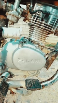 فلاحي • بدون اوراق • نضيف