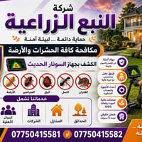هل لاحظت وجود الأرضة أو الحشرات في منزلك؟ لا تنتظر حتى تتفاقم المشكلة!...