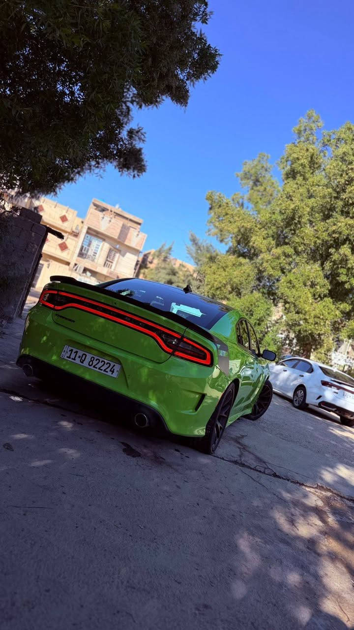 للبيع فقط بدون مراوس
جارجر موديل 2019 دايتونا
رقم بغداد حره الرقم الجديد
مكينه ٥٧٠٠ فوول مواصفات ماعدا الفتحه
رادار أمامي سوبر تراك مواصفات دايتونا
دشبول دبل خيط ابطاين اخياط
السياره جديده كلش ونظيفه مناقصها شي ابد
ماشيه 91mi
الحادث موضح كدامكم بالصور الصبغ بيها جاملغ وبنيد
بدون شاصي سليم
مكان السياره بغداد السيديه
السعر ٢٢٥ ورقه وبيه مجال قليل
***********
