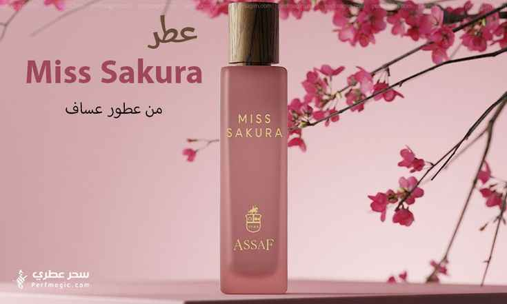 عطور عساف بـ 5 أشكال مختلفة 🌸🥹
راح تدمنين عليهم والحجم 200ml 
العطور ماستر كوالتلي رهيبات والثباتية اكثر من 24 ساعة 💗✨
❤. وانتد ليدي Wanted Lady عطر فرموني نسائي جذاب 🤤
🩵 وايلد كولت Wild Colt الزعفران، الجريب فروت، النعناع، الفلفل الوردي
والبرغموت. 🩵🪻
🩷  مس ساكورا بوكيه Miss Sakura Bouquet بخلاصة أزهار الساكورا اليابانية، ليمنحك إحساسًا بالانتعاش والحيوية الممزوجة برومانسية ناعمة.
💗  مس ساكورا Miss Sakura ازهار الكرز ياسمين مسك 🍒🪷
آي آم آيديال I Am Ideal عطر أنثوي جذاب تركيبة متوازنة تجمع الكل 🌹 البصرة, العراق


**إذا كنت صاحب هذا الإعلان وتريد حذفه لأي سبب، رجاءا أرسل رسالة إلى الدعم الفني**