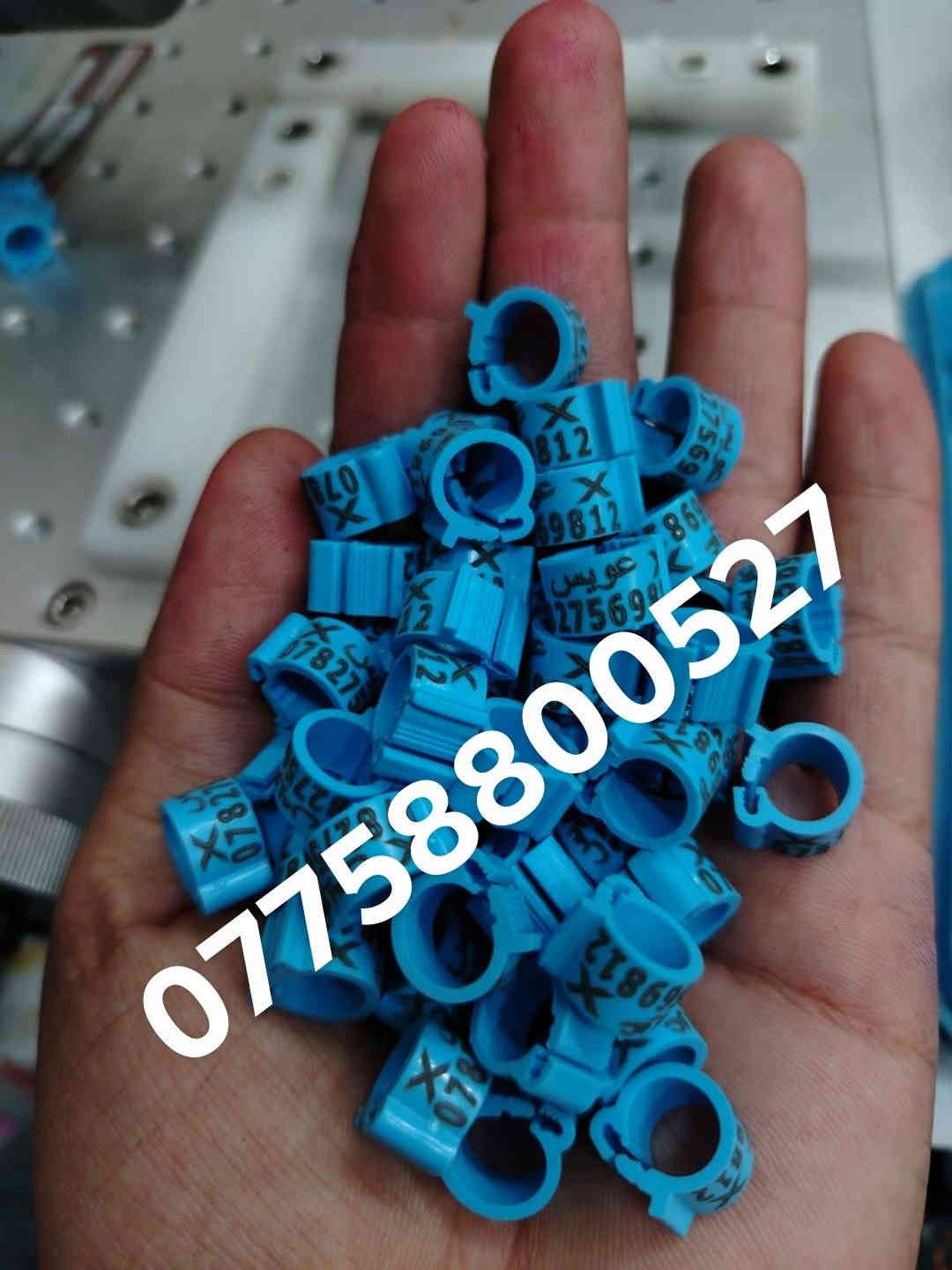 حجل طيرك وبسعار تنافسيه وشغل مضمون 👇❤️ حجول  وتوصيل لكل العراق والخبره بلعمل
من رخصت لمشرفين تريد حجل اصلي  ❤️ يوجد لدينا كل ماهو جديد عمل جميع  انواع حجول رابطه ستندر بنواعها حمام اللوت والزاجل والرافل والحمر وتور تيدي وطيور الزينه وباقي الطيور  بكافة انواعها  المغرد جاوه وبلابل  وفجانس وكناري وبادجي هاجرمو  وكوكتيل والدره وغندور وروز والحمام الملكي  ودجاج ومختلف النوعيات الالوان والموديلات حسب طلب الزبون الحجول والقياسيات موجوده بنواعها وتلبيس لطيور الكبار موجود حسب الطلب
الموثق والمفتوح وقراصات و المنيوم مفتوح الشغل درجة أولى حفر ليزر وحجول  والطيور بانواعها ملاحظه يوجد لدينا حجول زينه تراجي وحجل جرس خرخاشه واشرات وباقي الحجول بنواعها لكافه لطيور توجد خدمه توصيل لباب لبيت لجميع المحافظات العراق 🚕🚕 بسعر مناسب جدا للحجز مراسلة الصفحه او واتساب📱📞او الاتصال علئ الرقم او وتساب ملاحظه خبره بلعمل أكثر من 10 سنوات احذر التقليد 😍 لاتنسه لايك ومتابعه للحساب هدفنا تطوير الهوايه ولطيور لتعارف 😘 

***********
***********
