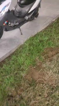 ماكس البيع اخت الرمبة بعدة جديد البيع سعر خاص كلشي بية شغال نكرة سلف ب...