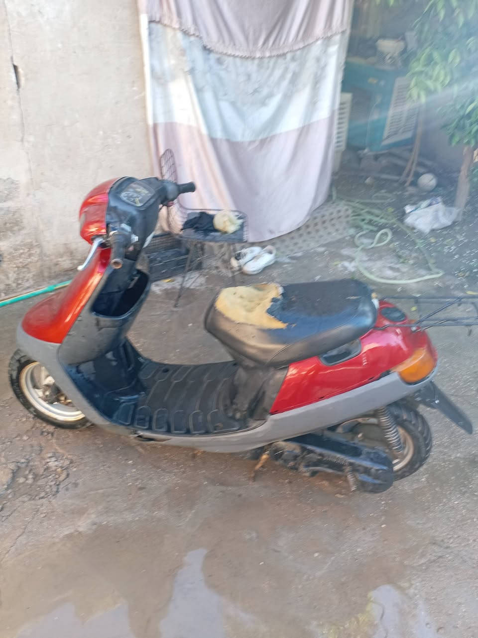 دراجة بطة للبيع مكاني كربلاء السعر 300 وبيه مجال


**إذا كنت صاحب هذا الإعلان وتريد حذفه لأي سبب، رجاءا أرسل رسالة إلى الدعم الفني**