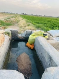 ارض زراعيه • ١١ دونم • طريق كربلاء نجف