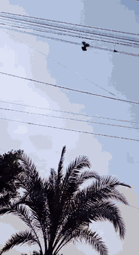 السلام وعليكم سمند 2012 مكفوله السياره كير ومحرك وحداديه كله كفاله تخم تاير وتخم ويل جديد مصفره هيه وغرامات السياره ترايهه مال زيرو الله شاهد السعر 40 مكاني بغداد البياع حي المواصلات الرقم ***********
