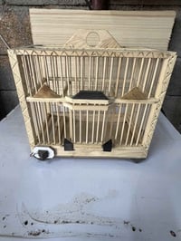 قفوص حسون • شغل درجه اول • كركوك