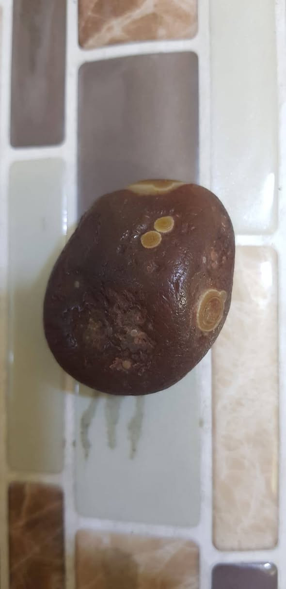 سليمانيات للبيع مدينة الصدر


**إذا كنت صاحب هذا الإعلان وتريد حذفه لأي سبب، رجاءا أرسل رسالة إلى الدعم الفني**