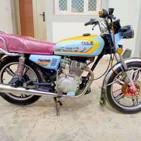 سونلي • موديل ٢٤ • بلد روز