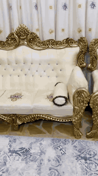 زان مصري ١٠ مقاعد نظافة ١٠٠٪؜                                                                       المكان بغداد الشعلة ام نجم السعر 600                                         الاتصال ع رقم الهاتف ***********                                           او المراسلة خاص
