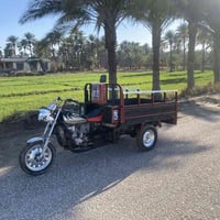 ستوتة ام تي ار • موديل ١٧ • مكفولة