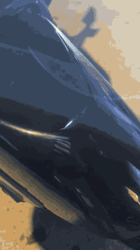 السلام عليكم تي ماكس 2008 للبيع مكفوله كفاله عامه دشبول احمر كهربائيات شغاله كلهه مابيه اي نقص مكاني بغداد الجديده رقم ***********
