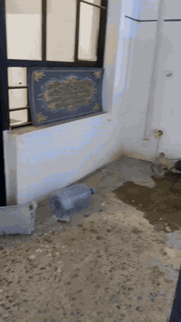 بيت الايجار ١٠٠ متر طابقين يحتوي على ٣ غرف نوم صالة استقبال مطبخ صحيات...