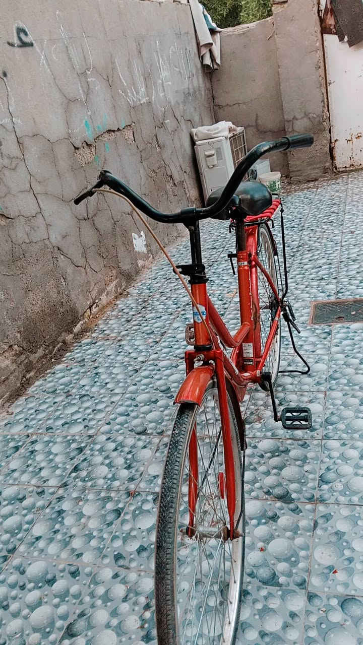 بايسكل للبيع السعر 85 اوبي مجال
   اتصل على الرقم 
***********
