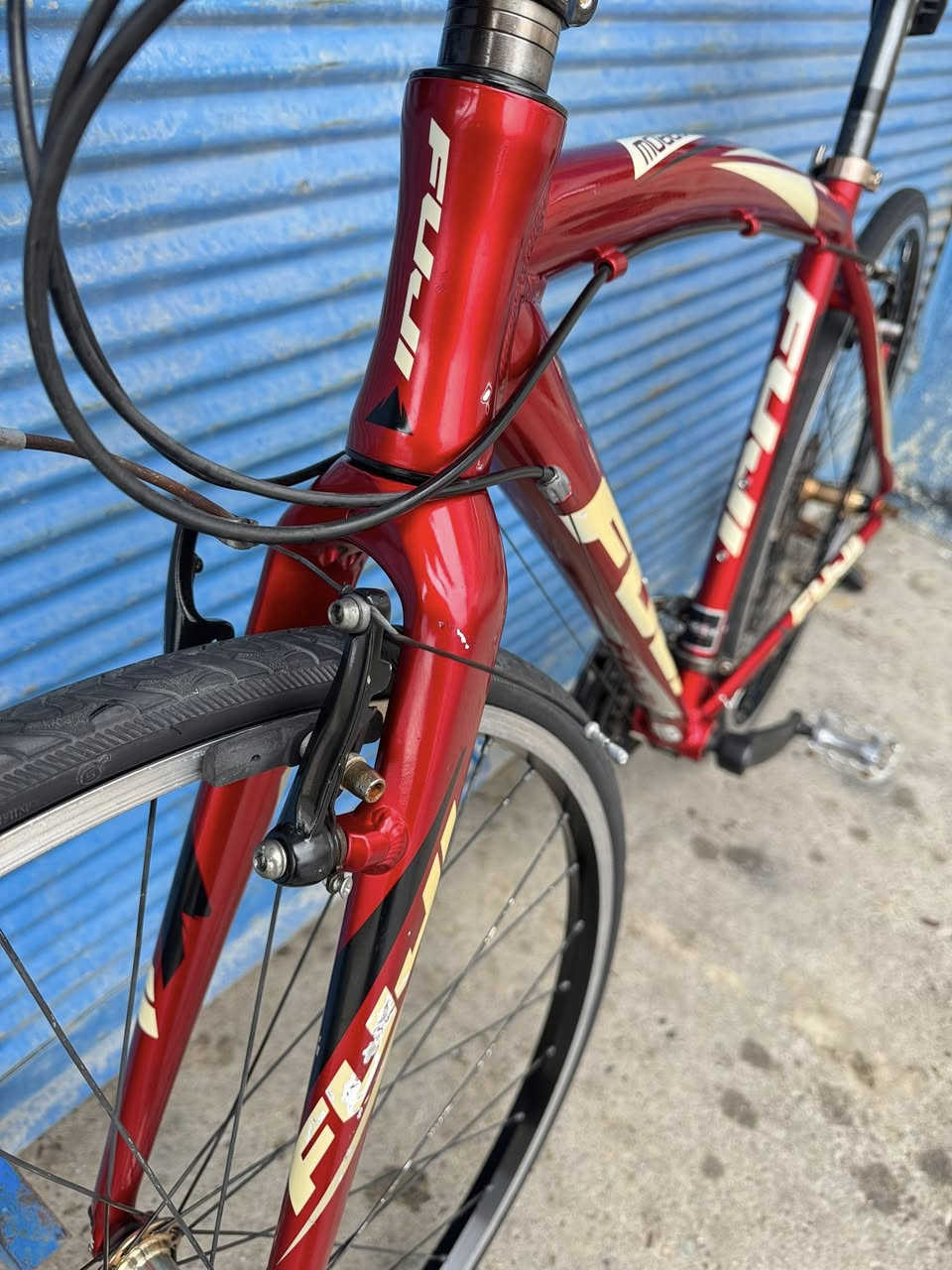 السلام عليكم حياكم الله اخوتي 700 حجم 28 
قياس M فريم 50 ماركة (FUJI) غني عن التعريف 
صينع امريكي معدنه فول المنيوم سستم شيمانوا 
تورني تي اكس نمره 3/8 بدلات شيمانوا سحب دفع
نظافتهاا وتفصيلهاا وضحه بل صوره وعل وضع شركة
سعرهاا 210 الف وبي مجال اخوتي عنواني موصل 
للتواصل *********** تتوفر خدمة توصيل جميع 
محافظات العراق وتحياتي
