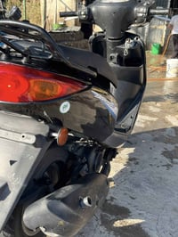 بريز ببغاء نوزل رمبه قبل 7اشهر نازله  07704978711