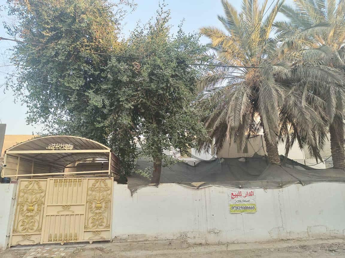 حي العروبه 3  خلف اسواق الربيع 
المساحة 356 متر مع فضلة 27 متر داخل البيت 

يحتوي على صاله واستقبال ومطبخ وغرفة عدد 3 والطابق الثاني يحتوي على غرفتين وحمام 

*********** خابرني على الرقم هو يكلك بل سعر
