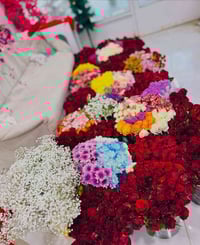 للحجز والاستفسار /07724478677