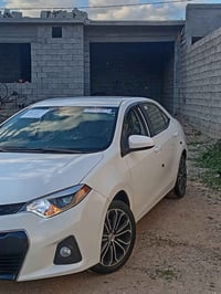 ٢٠١٦ • وارد أمريكي • رقم اربيل