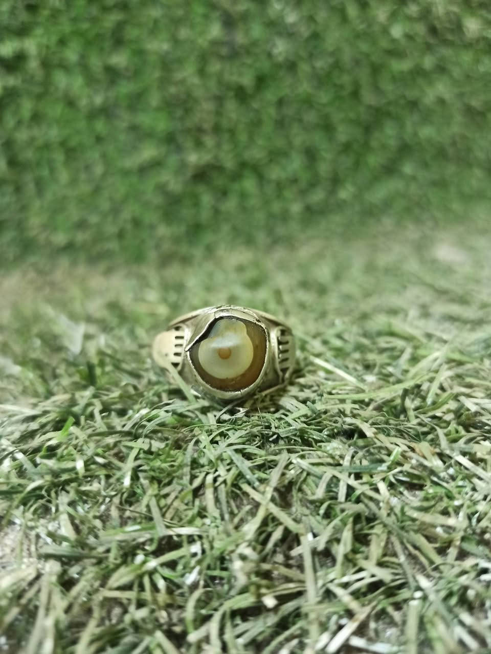 حجر سليماني قديم عين صريحه  صياغه يدويه قديمه


**إذا كنت صاحب هذا الإعلان وتريد حذفه لأي سبب، رجاءا أرسل رسالة إلى الدعم الفني**