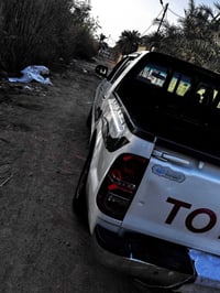 فلاونزه • ٢٠١٣ • البصرة