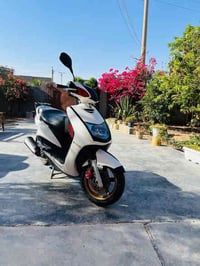 سكنس كابريتر • اوراق كامله • سد حمرين