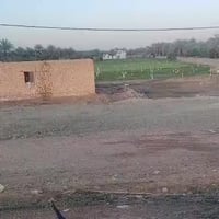 هيت • ١٢ دونم • طابو زراعي