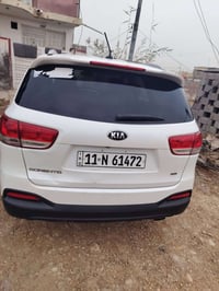 ٢٠١٦ • وارد أمريكي • ضرر بنيد