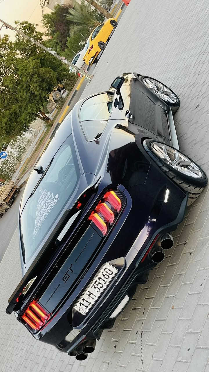 موستنك جي تي GT 2022 فول برميوم 

فول هوائيات عشر نمر مكينه 8 سلندر

مواصفات 

تشغيل عن بعد

شاشة كبيرة sync 3 كار بلي

فجوج بريمبو 6بستم

كشنات جلد

تدفه تبريد بل كشنات 

تحديد مسار

رادار امامي

رادار جانبي نقطة عمياء

رادار خلفي

حساسات خلفيه

كامرة خلفيه

ستيرن تدفئه هيتر

خمس وضعيات قياده نورمال سبورت تراك 

ترحيب بل مرايه

هيترات بل مرايه

سستم سماعات

لايت زنون ابيض 

شعار الموستنك ضوئي من الابواب بلادي

شعار موستنك ضوئي متغير بل دوسات بلادي

ماشيه 33 الف ميل

سياره كير مكينه برغي ما مفتوح بيها سياره بيها 3 قطع صبغ جاملغات اماميه وبنيد 

بدون شاصي بدون لغد

سياره الوحيده بلعراق بلونها مميز بنفسجي مغلف من امركيا لونها الاصلي اسود

ايرباك راجع سستم

(اضافات الي عليها)🔥

شوته بي ماس 

هدرز ستانس بور

اكس بايب + داون بايب 

دباب روش صوتها كلش قوي رعيده⚡️🐎

ولف حماوه  مشميتو

برمجة طلال فور برذر برمجة سيفتي كامل والسياره كلشش قويه 

عليها  لويات دبلات كويلوفر تتحكم بي تعليها وتنصيها  للسياره ونصبتها كلش حلوه 

دركه ستيرن كاربون فايبر اصلي 

لحية اماميه ودوسات جانيه دفيوزر خلفي

سبايدر خلفي قطعتين ع  صندوك 

لد سموك بل دعاميه خلفية جانبي 

بك لايت ابيض اوربي 

ويل حجم 20 شكل الجديد 

تاير خلفيه سلك 

بولش ونانو سيراميك يم NVN 

رقم بغداد باسمي تحويل ثاني يوم 

سعرها 235 وبيها مجال

رقمي بي وتساب ***********
