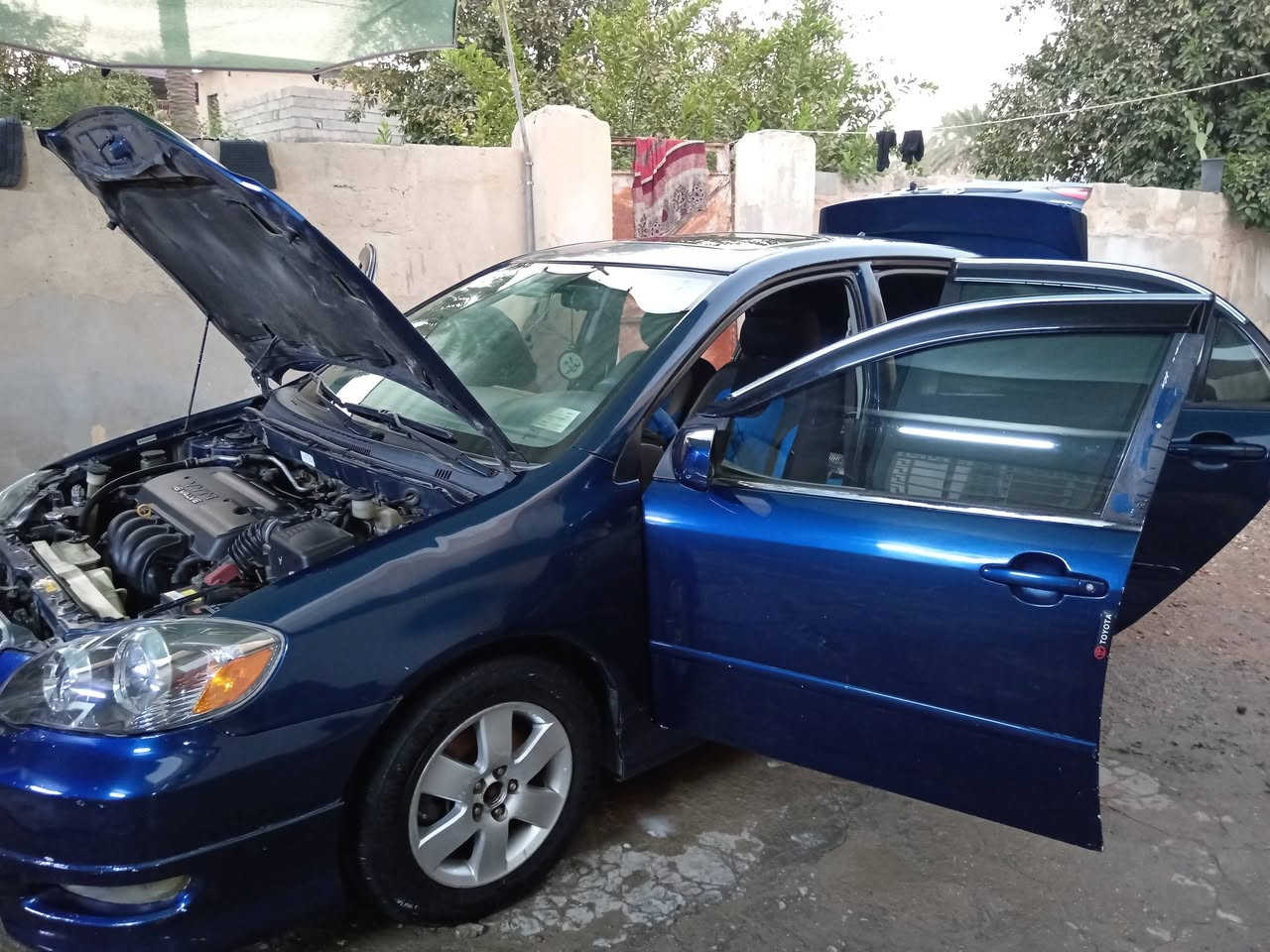 كورلا نحلة 2008 بيهة بنيد وجاملغ فقط مصبوغة عام اثر جراد  رقم بغداد الجديد باسمي  تحويل ثاني يوم صدر امامي خلفي جديد بيهن كارت ضمان  تخم تايرات جديد باتري جديد  سيارة كير محرك لغد شاصي كفالة ومابيهة كل نقص كاملة للاخير سعر 85وبيهة مجال السيارة باسمي سنوية لل29 سيارة شاشة ايباد بلوتوث تبريد ثلج تدفئة كاملة من كلشي ماناقصهة برغي مكان واسط صويرة ***********
