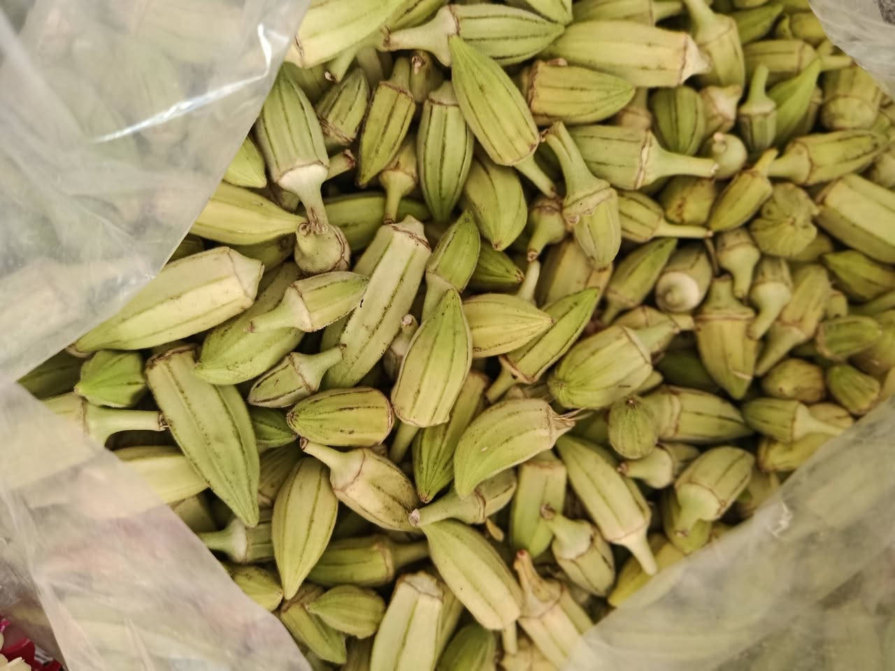حلقوميه مال اليوم السبت 2500 دع رمادي شارع اربعين ***********
