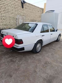 هاذا الدب اريده مراوس بجامبو للاستفسار 07724878910 تحياتي