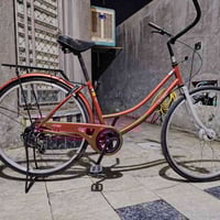 كربلاء الانتفاضه الثانيه • ٦نمر • احمر صدفي