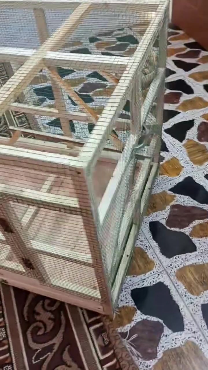 قفص مامستخدم ارتفاع 75 نزال 75 عرض 90 السعر 40


**إذا كنت صاحب هذا الإعلان وتريد حذفه لأي سبب، رجاءا أرسل رسالة إلى الدعم الفني**