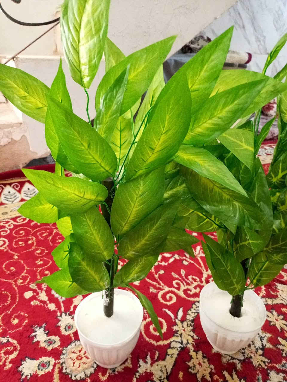 ،،،،،،،،،،،،،،، مشتل الجمعيه..................
لكثره طلب الزبائن توفر وجبه جديده من الزرع الصناعي
ارتفاع 70 سم السعر 8000....2ب...15000
الدجيل الجمعيه خلف الدفاع المدني 
للاستفسار *********** واتساب مازنجر 
توجد لدينا خدمه توصيل داخل الدجيل 💯
