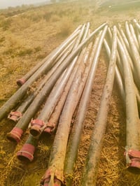 بواري ابوخمسه • قريت تل ذهب • سعر خاص