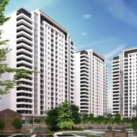 سينترال بارك • ١٠٠م • شارع ٤٠ روناكي