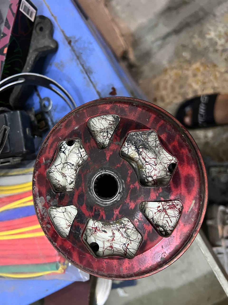 سلام عليكم تزويد ثعلب مكاني بغداد الحريه شراي راسلني خاص او اتصل ***********
