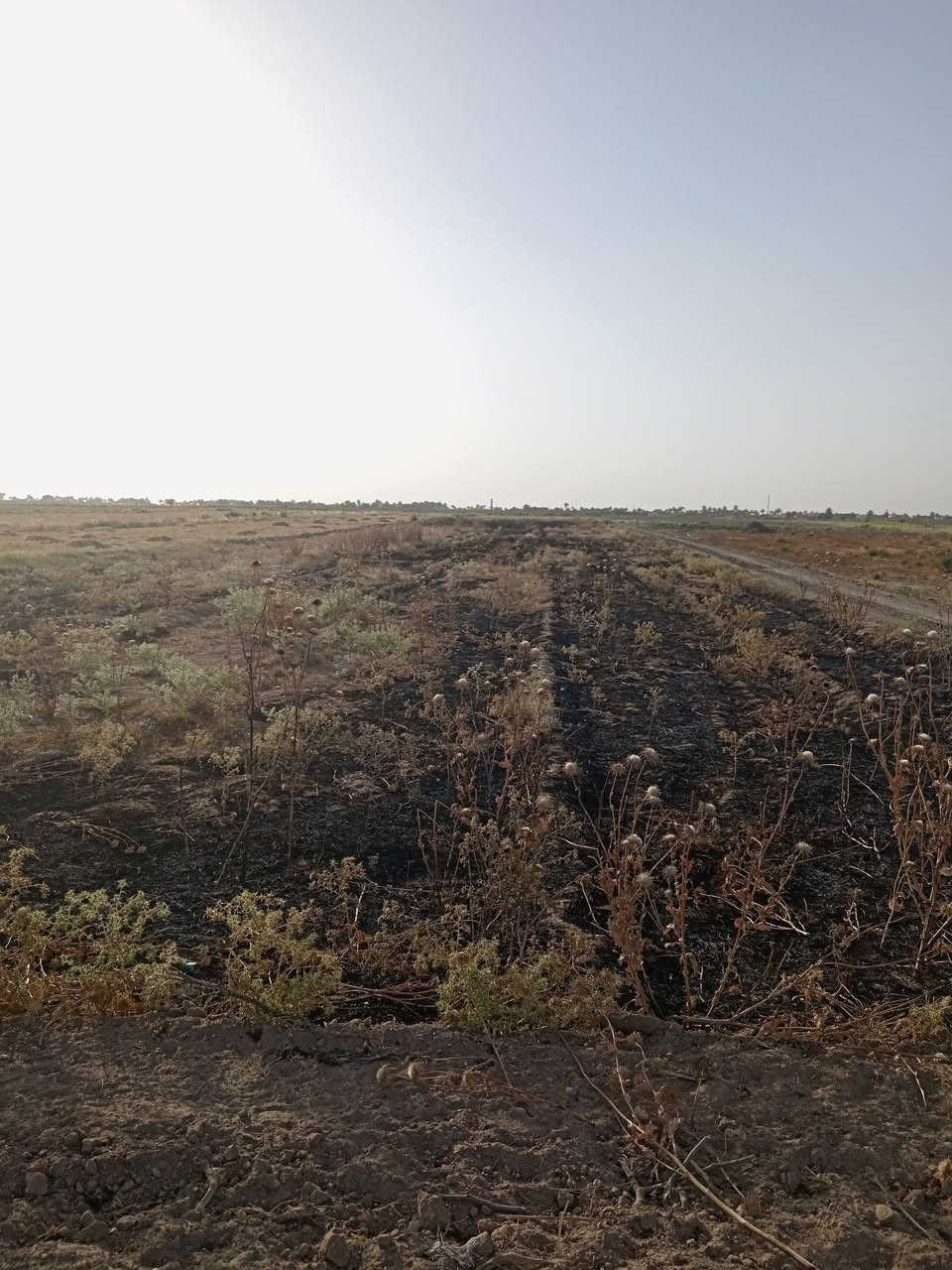 الي يدور ارض يسويه مزرعه هاي الك يتوفر قطعه ارض المساحه ١٣٥٠ متر جنس العقار زراعي سند ٢٥ الوجه ٢٣ ونزال ٦٠  الأرض وجه ع شارع واصله كافه الخدمات
العنوان البوبالي الشاميه الويبد  وبسعر مناسب جدآ
*********** حارث مؤيد 
 الي يدور ارض يسويه مزرعه هاي الك يتوفر قطعه ارض المساحه ١٣٥٠ متر جنس العقار زراعي سند ٢٥ الوجه ٢٣ ونزال ٦٠  الأرض وجه ع شارع واصله كافه الخدمات  تبعد عن الشط ٢٠٠ متر
