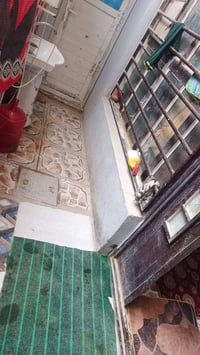 ٥٠م • طابقين • طابو زراعي