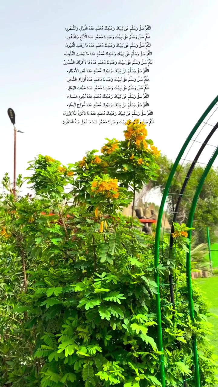 مزرعة النخيل  ، للحجز والاستفسار مراسلة الصفحة او الاتصال على الرقم *********** .

#ترند #اكسبلور #العراق #مزارع #لايك #تصويري
