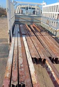 شيلمان بلجيكي اصلي • جميع القياسات • بابل طفيل