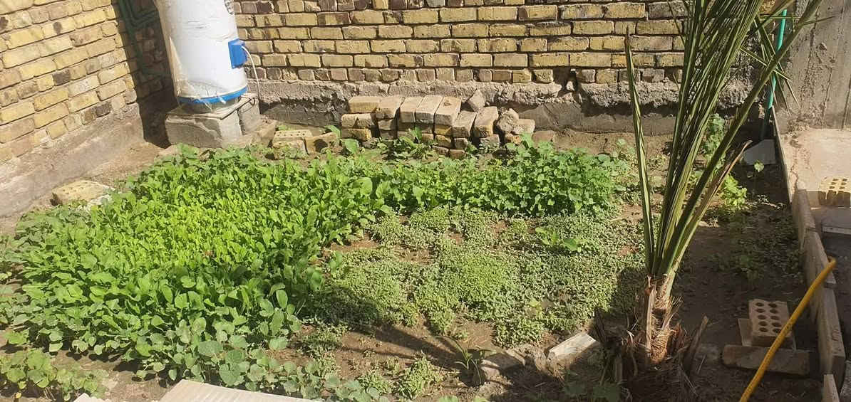 🏡 بيت للبيع – فرصة مميزة
بيت طابقين للبيع بمواصفات ممتازة:🔹 4 غرف نوم🔹 صالتين🔹 مطبخ حار + مطبخ بارد🔹 غرفة استقبال🔹 4 صحيات (داخلية وخارجية)🔹 مخزن🔹 سطح مرتب

📍 الموقع: الكوفة – شارع المعمل، قرب جامع الخزاعل وقريب من الشارع العام📐 المساحة: 218 متر📏 البيت ركن، شارع بعرض 15 متر⬆️ موقع عالي عن مستوى الشارع

💰 السعر مناسب (يُذكر عند التواصل)

✨ فرصة لا تعوض للسكن المريح بموقع حيوي


**إذا كنت صاحب هذا الإعلان وتريد حذفه لأي سبب، رجاءا أرسل رسالة إلى الدعم الفني**