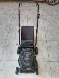 حاشوشه • جديده • قضاء الاحرار