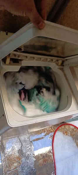 غساله يابانيه باب اول جاهزه سعرها 75 مكان بغداد قريب على تقاطع درويش واتساب
***********
