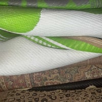 حصران • صغير • جبيره