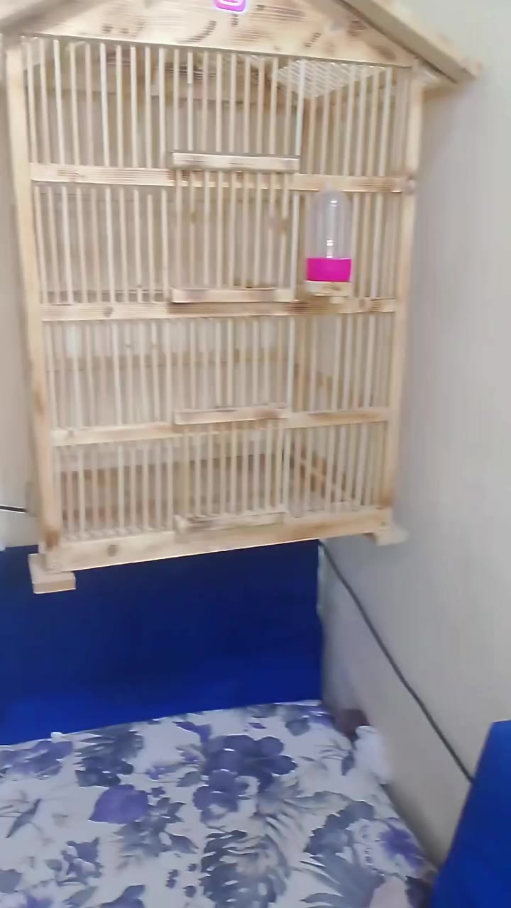 قفص بلبل للبيع
ارتفاع ٩٠سم

عرض ٦٠ سم 

نزال ٥٠

٣ابواب 

مجر تنضيف 

مع قاعدة طور الماء خارجي 

شغل درجة والى 

مكاني طريق اولاد مسلم مجاور المحطة الوقود

***********
