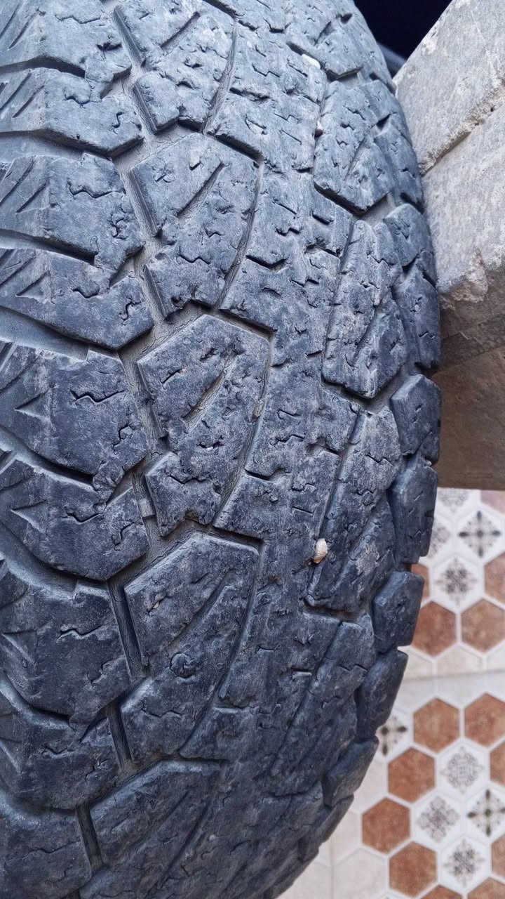 زوج تايرات للبيع


**إذا كنت صاحب هذا الإعلان وتريد حذفه لأي سبب، رجاءا أرسل رسالة إلى الدعم الفني**